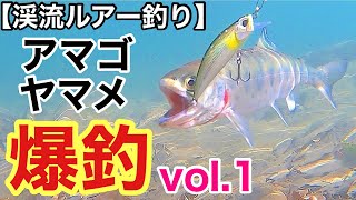 【渓流ルアー釣り】南アルプスの川でアマゴ・ヤマメ爆釣vol 1