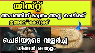 യിസ്റ്റ് ഉണ്ടോ വീട്ടിൽ!!/ഒറ്റ തവണ ചെയ്താൽ ചിലവില്ലാതെ ചെടി വളർത്താം /💯💯poppy vlogs