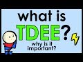 What is TDEE? (Total Daily Energy Expenditure)