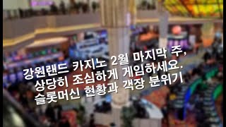 2월말인데도 객장에 사람이 많습니다. 강원랜드 카지노의 객장 분위기와 슬롯머신 잭팟 현황들