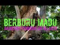 BERBURU MADU DI PABRIK GULA PENINGGALAN BELANDA #traveling #penjajahanbelanda #pabrikgula