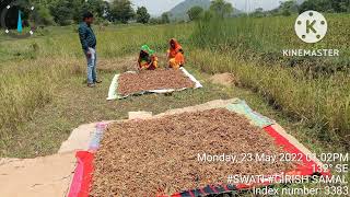 odisha millets mission of song