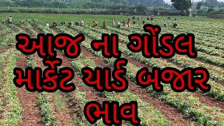 APMC.તા. 12/7/2022.ગોંડલ .માર્કેટ યાર્ડ બજાર ભાવ