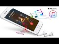 iPhone 13 Pro Max Ringtone Remix | iPhone 13 Pro max Custom ringtone | iPhone 13 Pro Ringtone 2021