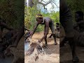 wow 😮 see the wonderful life of african indigenous hunters tribe shorts