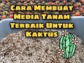 Cara Membuat Media Tanam Kaktus Bahan Premium