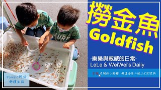 【撈金魚｜樂樂\u0026威威的日常】