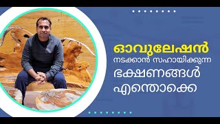 ഓവുലേഷൻ നടക്കാൻ സഹായിക്കുന്ന ഭക്ഷണങ്ങൾ എന്തൊക്കെ\\Foods which helps ovulation #ovulationtips