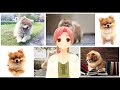 犬も花粉症になるのか？