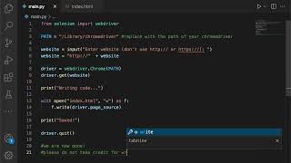 How to Get the Code for a Website with selenium in python | Not so Pro Python Tutorials