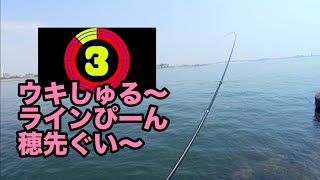 沈め釣りのアタリってこんな感じ [フカセ][全層沈め釣り]