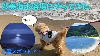 【沙美海水浴場】心霊スポット？！日本渚百景？！海に遊びに行ってみたら・・・