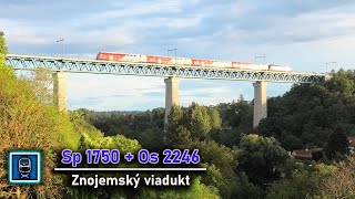 Průjezd ▪ Spěšný a osobní vlak na Znojemském viaduktu || 10.9.2022