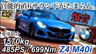 【爆音爆速】次の車Z4にしない？ワイのBMWZ4M40iを愛車紹介してみた。スープラとの違いも。走行インプレッションもあるンゴ。《4K2160P》 #bmw #vlog #bmwz4