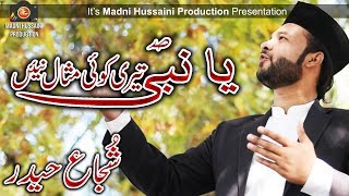 New Naat 2018 Rabi-ul-Awal Special - Shujjah Haider - Madni Hussaini Production