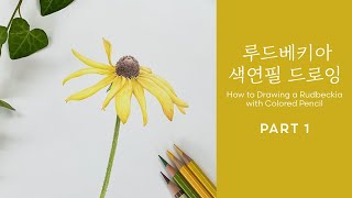 루드베키아 색연필 드로잉 1편 / How to Drawing a Rudbeckia with Colored Pencil Part.1