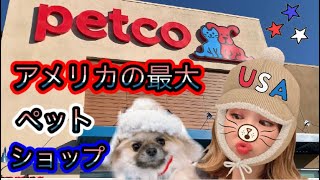 【アメリカ留学生活】大型ペットショップに愛犬と行くinベガス‼︎ I found a “jackpot” toy at Petco!