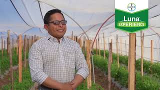 Edin y José recomiendan LUNA® Experience para tus cultivos | Agro Bayer Centroamérica ​