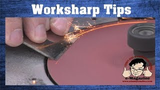 WATCH THIS before buying/using a Worksharp 3000 tool sharpener