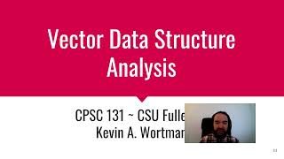 Vector Data Structure Analysis