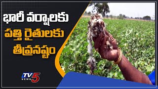 Huge Loss to Cotton Crop Farmers in Jogulamba Gadwal District | TV5 News