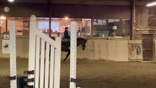 Hunter/jumper Findlay riding video for Allison Stanley