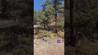 0.93 Acres for Sale in Alturas, California For $5,995