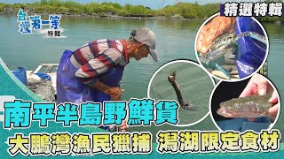 台灣第一等【南平半島野鮮貨 採集野生大牡蠣／大鵬灣漁民延繩釣獵捕 潟湖限定食材（牛尾魚、米級紡車索、土龍）】_精選特輯