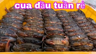 Chợ bình điền qua tuần quá ế cua lột rẻ?