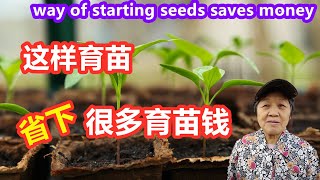 这样育苗，省下很多育苗钱//育苗容器分享//This way of starting seeds saves a lot of money//Mars Hydro （点CC看繁體字幕）