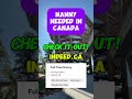 nanny needed in canada i no placement fee i buhay sa canada shorts