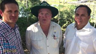 Leucaena removal Aplins Weir