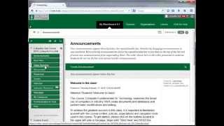 How to Create a SafeAssignment in Blackboard 9.1