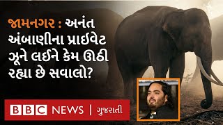 Jamnagar News : અનંત અંબાણીના 3000 એકરમાં ફેલાયેલા 'વનતારા' પ્રોજેક્ટ સામે કેમ કોર્ટમાં અરજી કરાઈ?