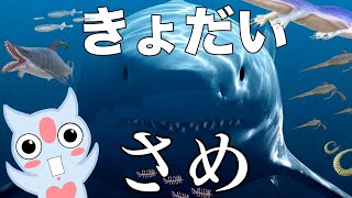 巨大ザメ！古代生物メガロドンを探せ！！