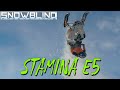Stamina E5 Snowblind Productions