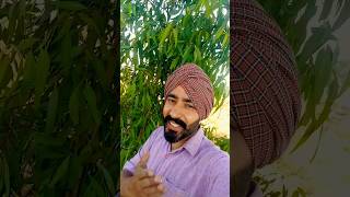 #new#boliyan #punjabiboliyan #newboliyan #ਬੋਲੀਆਂ #gidhaboliyan  #ਠੇਠ ਪੰਜਾਬੀ ਬੋਲੀਆਂ #ਮਾਸਟਰ ਨਿਧਾਂਵਾਲੀਆ