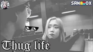 한국의 떠그라이프 Korean Thug life ㅋㅋㅋㅋ 마지막 뭔뎈ㅋㅋㅋㅋ [박담채]