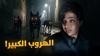 استأجرت كرفان وهجمت علينا كلاب