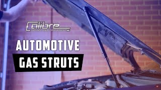 Calibre Gas Struts