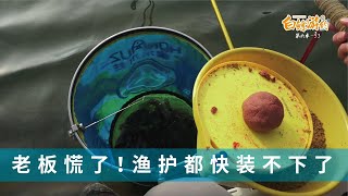 白条冬天庫釣拉餌帶散炮，鯽魚全部離底截口，老板這次慌了