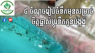 ៤ ចំណុច​រៀបចំទឹកសម្រាប់​ផ្លាស់ប្តូរអោយកូនបង្កង | បង្កងសៀមរាប Siem Reap Crayfish ( របៀបចិញ្ចឹមបង្កង )