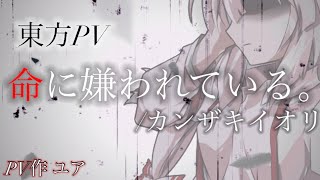 【⚠️音量注意】【東方PV】命に嫌われている。/カンザキイオリ まふまふcover.