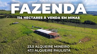 EXCELLENT FARM 114 HECTARES, PLANTING AND LIVESTOCK - MINAS GERAIS | LESS THAN R$ 23 THOUSAND A H...