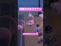 【ポケモンsv】跳躍力に自信があるヤドン君