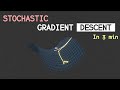 The Unreasonable Effectiveness of Stochastic Gradient Descent (in 3 minutes)