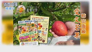 【枋山頂級愛文芒果】多汁、香甜！喝牛奶長大的高甜度芒果