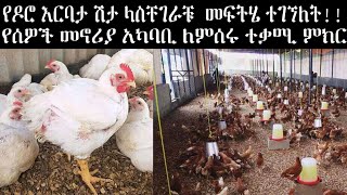 በዶሮ እርባታ ሽታ ለተቸገራቹ መፍትሔ በመኖሪያ አካባቢ ለመስራት የተቸገራቹ ጥሩ መፍትሄ ይዘን መተናል