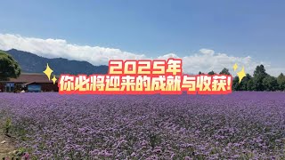 2025年你必将迎来的成就与收获!