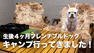 【犬連れキャンプ】4ヶ月の子犬とドッグラン・スパ付のキャンプ場へ！！